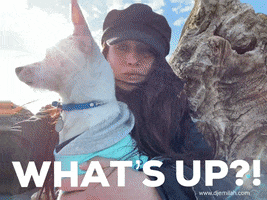 What Is Up GIF by Djemilah Birnie