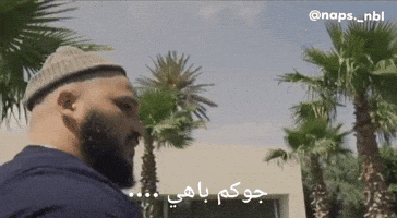 Algeria Dz GIF