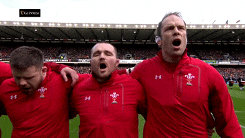 GIF by Guinness Six Nations