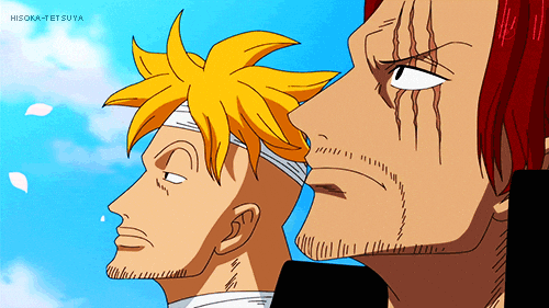 Anime-one-piece GIFs - Get the best GIF on GIPHY
