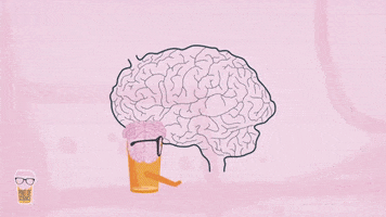 Brain Neuroscience GIF by Pint of Science world