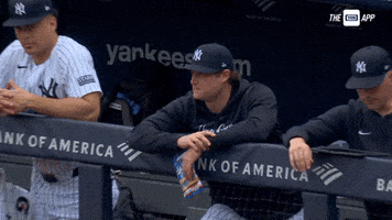 Settle Down New York Yankees GIF by YES Network