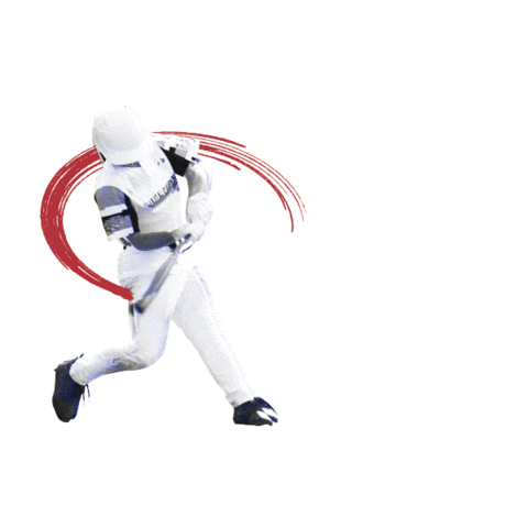 SeniorLeagueWorldSeries Sticker