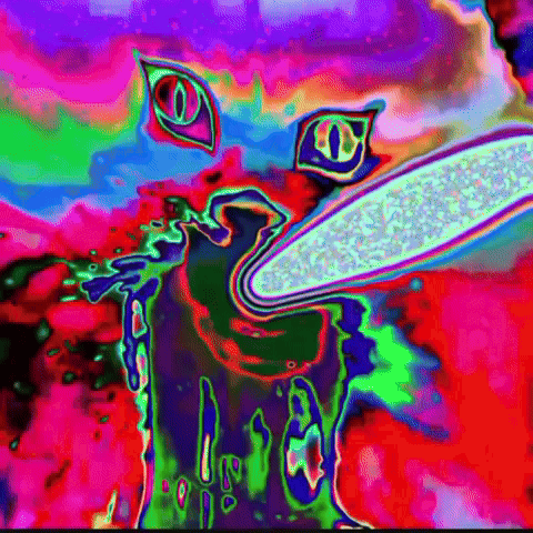 Cat GIF