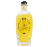 Lemon Cello Sticker by bydenize