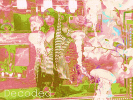 Decoded GIF