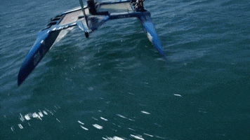 Drone Sailgp GIF by AirVuz