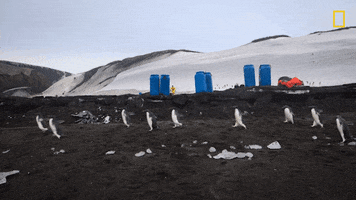 Nat Geo Explorer GIF by National Geographic Channel