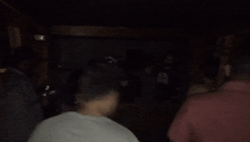 Placid  GIF