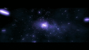 Video GIF