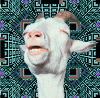 High GIF