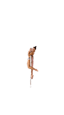 Pole dance academy Praha Sticker