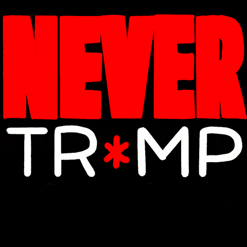 Text gif. Huge, overwhelming red letters on a black background read, "Never," the phrase finished with, "Trump," and the footnote, "again."