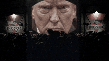 Donald Trump GIF