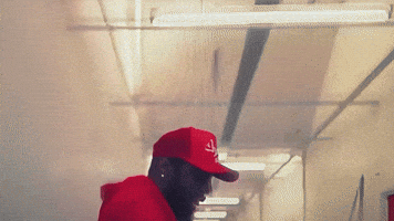 Dance Skanking GIF by Ren DMC