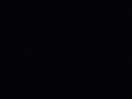 Music GIF
