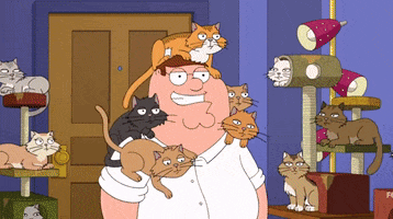Family Guy Cat Cafe GIF