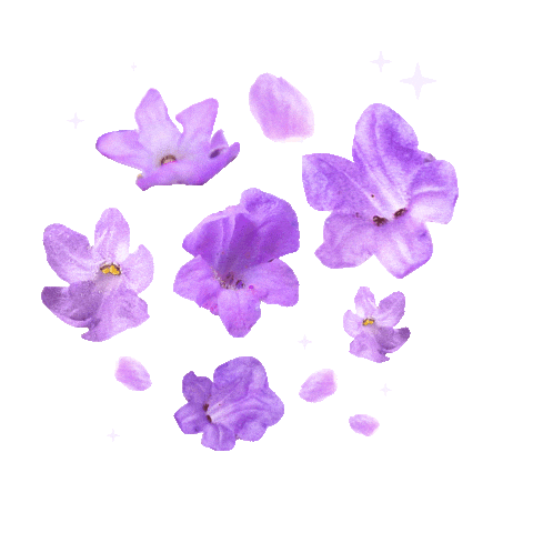 Flower Spring Sticker by MYBABYID