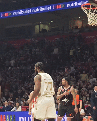 Crvena Zvezda Kkcz GIF