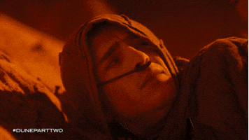 Movie gif. Timothée Chalamet as Paul and Zendaya as Chani in Dune: Part Two. They're laying on the ground behind a dune and Paul looks up at Chani as he wakes up and she puts a finger to her lips to stay quiet.