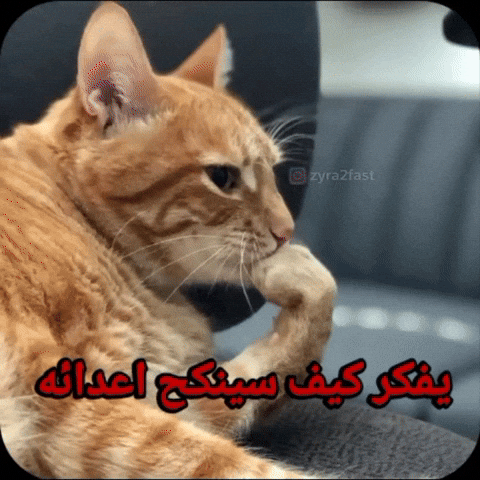 ميمز GIF