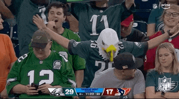 Philadelphia Eagles Football GIF by NFL - Find & Share on GIPHY