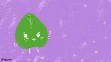 Aapi Cooking GIF by Tofu Riot