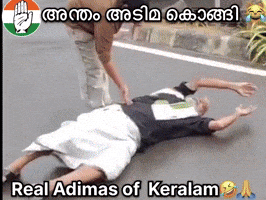 Rahul Gandhi Congress GIF