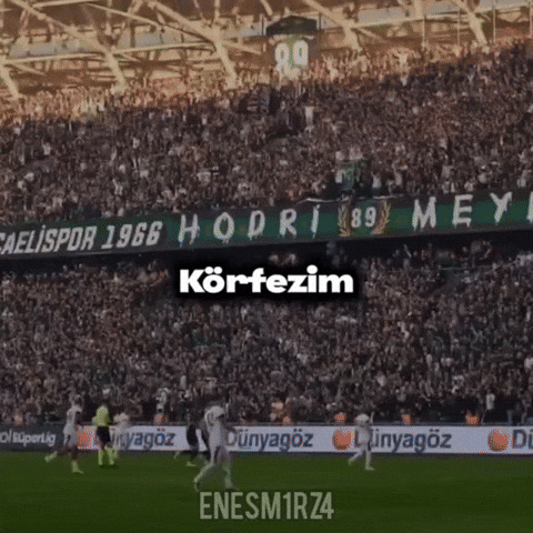 Spor Kocaeli GIF