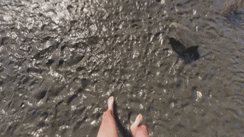 Video Game Beach GIF by Facepunch Studios