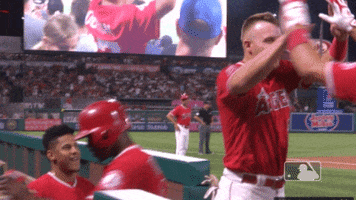 Mike Trout Hug GIF by MLB