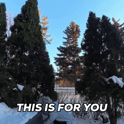 Winter This Is For You GIF