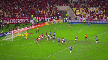 cesar defesa GIF by Flamengo