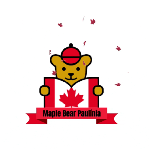 Maple Bear Paulinia GIF