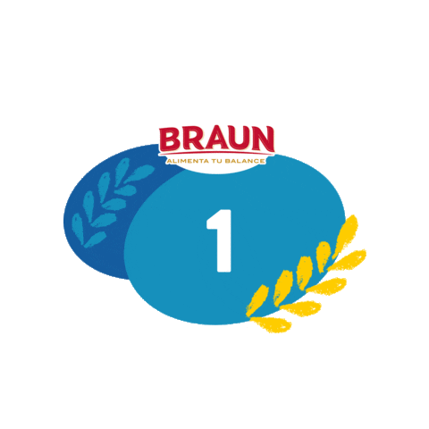BraunEc Sticker