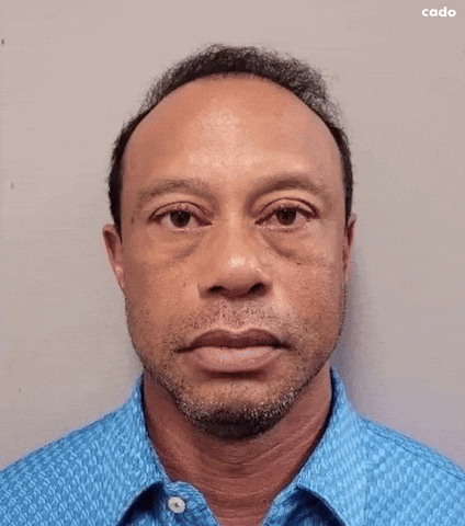 Drunk Tiger Woods GIF