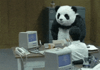 angry kung fu panda GIF