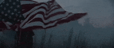 American Flag America GIF by Evanescence