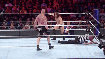 Brock Lesnar Pain GIF by WWE