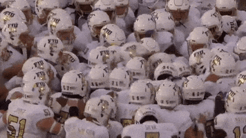 Fiu Panthers Football GIF by FIU