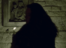 Fur GIF