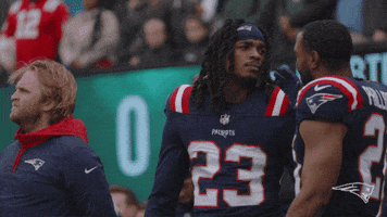 Go Pats GIF by New England Patriots