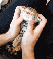 Posting silly gifs to cheer ourselves up  - Page 3 200