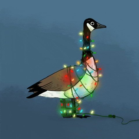 Birdtalk GIF by girlinwhiteglasses