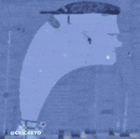 Erling Haaland GIF