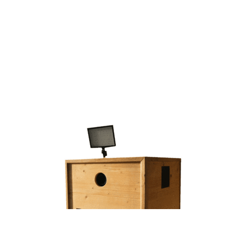 Smilecab Sticker