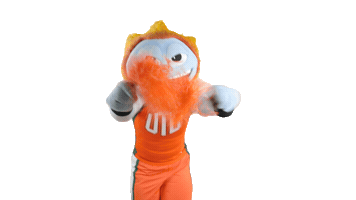 Go Team Cheer Sticker by UT Dallas