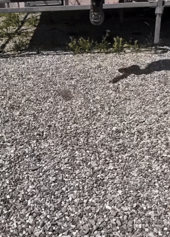 Jacket Conte GIF