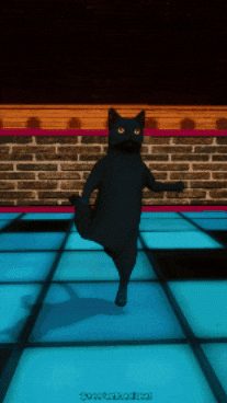 Scottnblackcat GIF