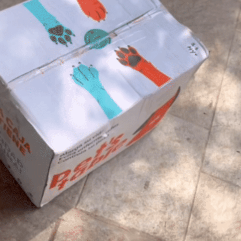 Animated GIF